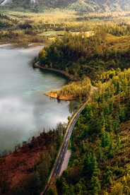 湖边的树林和道路