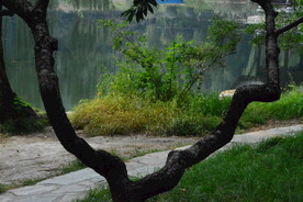公园风景