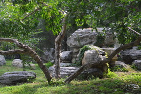 公园风景
