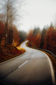 山林道路
