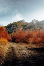 山路风景