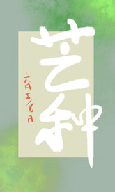 芒种