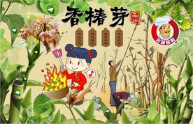 香椿芽