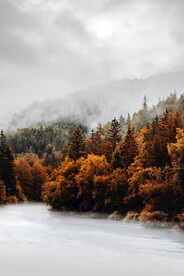云海山林湖景