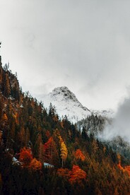 雪山和山林