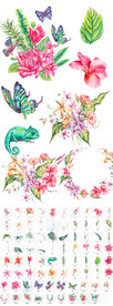 热带植物png