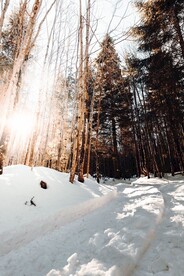 冬季山林雪景