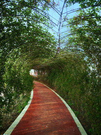 拱形步道