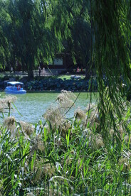 陶然亭风景