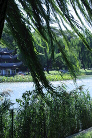 陶然亭风景