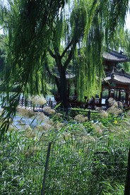 陶然亭风景 