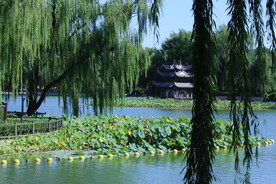 陶然亭风景 