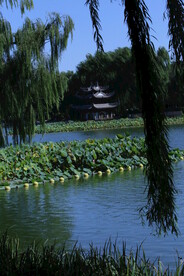陶然亭风景 