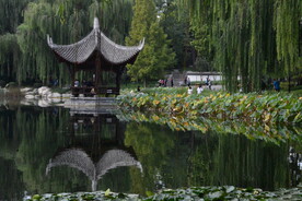 公园风景 