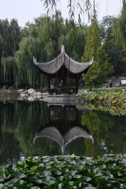 陶然亭风景 