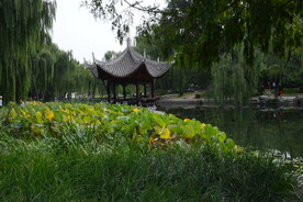 公园风景 