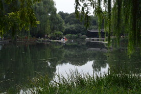 公园风景 