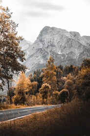 山林道路