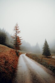 山间小路