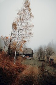 山间木屋