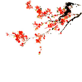 一枝梅花