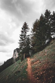 山间小路