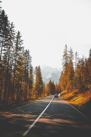 树林中的公路