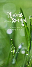 清明节海报 