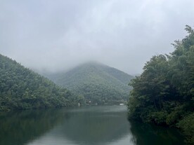 竹海
