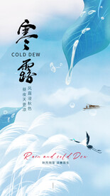 寒露海报