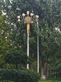 路灯与树