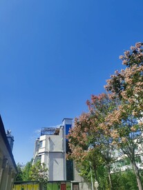 蓝天