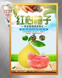 柚子海报