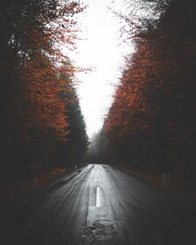 林间道路