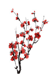 水墨梅花