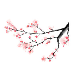 水墨梅花