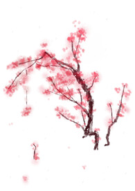 水墨梅花