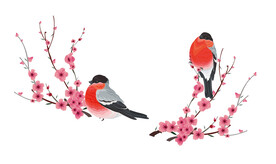 水墨梅花