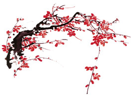 水墨梅花