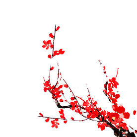 水墨梅花
