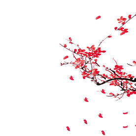 水墨梅花