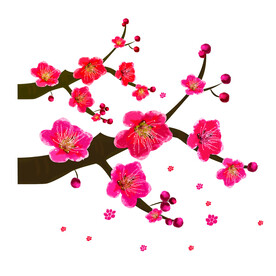 水墨梅花