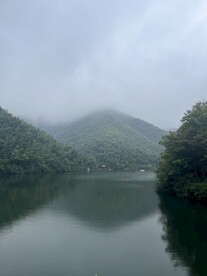 南山竹海