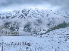 雪地
