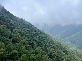 竹海