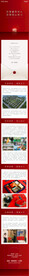 红色新年礼品推文