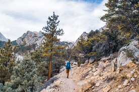 山路上的徙步登山者