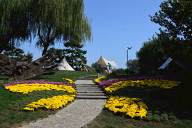 公园风景 
