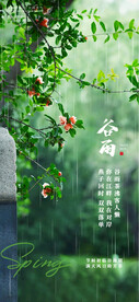 谷雨海报  
