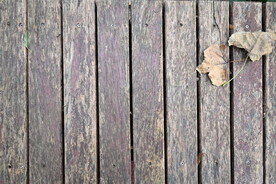 木板 落叶 秋天 枯叶